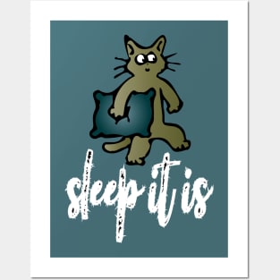 sleep it is Posters and Art